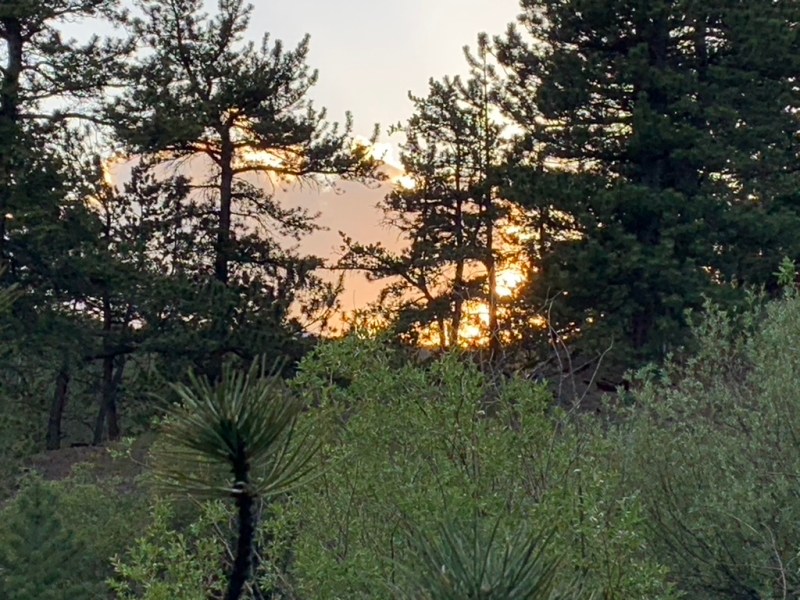 Introducing A Wild&nbsp;Energy